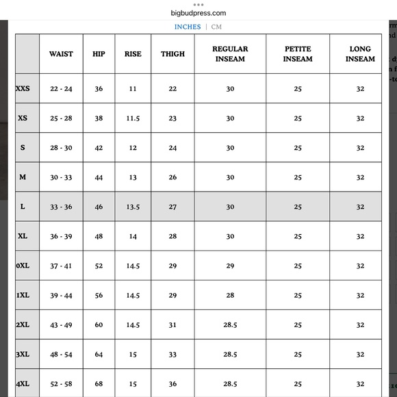 NWT Western Petite X-Large Western Pant Lagoon Big Bud Press - Picture 4 of 5